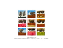 Load image into Gallery viewer, Townley's Limited edition 32 page pano book from 2015-2021