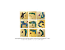 Load image into Gallery viewer, Townley's Limited edition 32 page pano book from 2015-2021