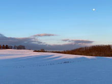 Load image into Gallery viewer, Shane Townley Original Contemporary Painting #100 10X20 Landscape Impressionism Modern