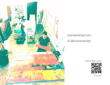 Load image into Gallery viewer, Townley's Limited edition 32 page pano book from 2015-2021